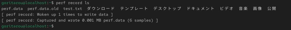 Centosにおけるperf record lsコマンドの実際の出力結果