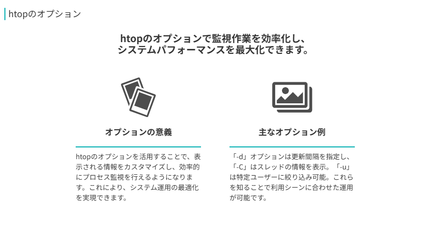 htopのオプション  
htopのオプションで監視作業を効率化し、
システムパフォーマンスを最大化できます。  
オプションの意義  
htopのオプションを活用することで、表示される情報をカスタマイズし、効率的にプロセス監視を行えるようになります。これにより、システム運用の最適化を実現できます。  
主なオプション例  
「-d」オプションは更新間隔を指定し、「-C」はスレッドの情報を表示。「-u」は特定ユーザーに絞り込み可能。これらを知ることで利用シーンに合わせた運用が可能です。