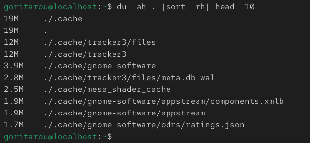 du -ah . | sort -rh | head -10コマンドの実際の出力結果