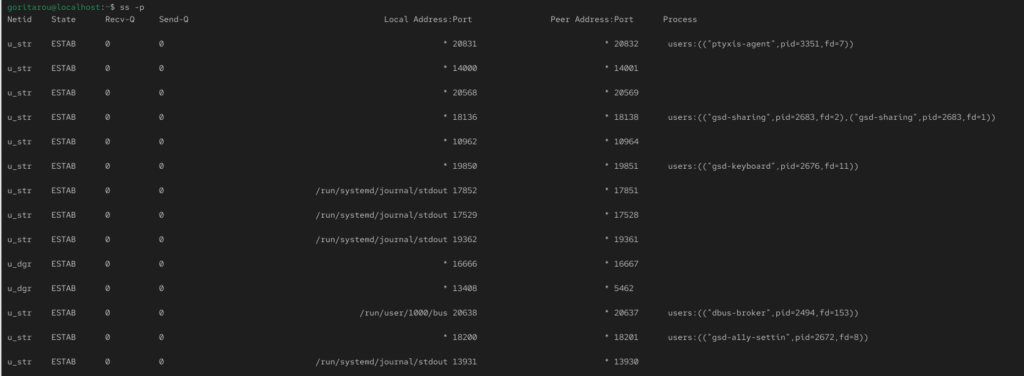 Centosにおけるss -pコマンドの実際の出力結果