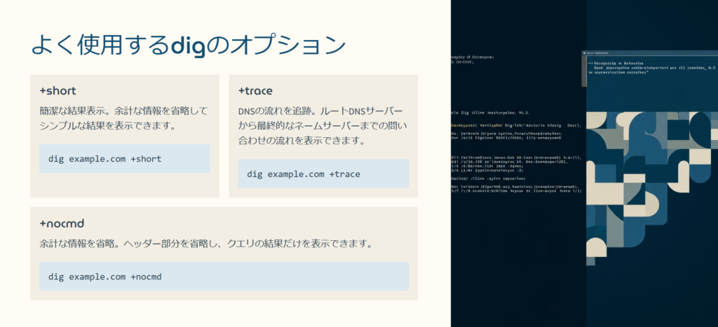 よく使用するdigのオプション

+short

簡潔な結果表示。余計な情報を省略してシンプルな結果を表示できます。

dig example.com +short

+trace

DNSの流れを追跡。ルートDNSサーバーから最終的なネームサーバーまでの問い合わせの流れを表示できます。

dig example.com +trace

+nocmd

余計な情報を省略。ヘッダー部分を省略し、クエリの結果だけを表示できます。

dig example.com +nocmd