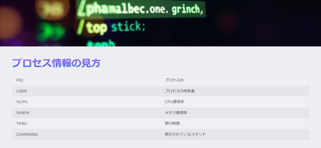 プロセス情報の見方

PID

プロセスID

USER

プロセスの所有者

%CPU

CPU使用率

%MEM

メモリ使用率

TIME+

実行時間

COMMAND

実行されているコマンド